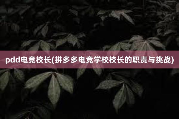 pdd电竞校长(拼多多电竞学校校长的职责与挑战)