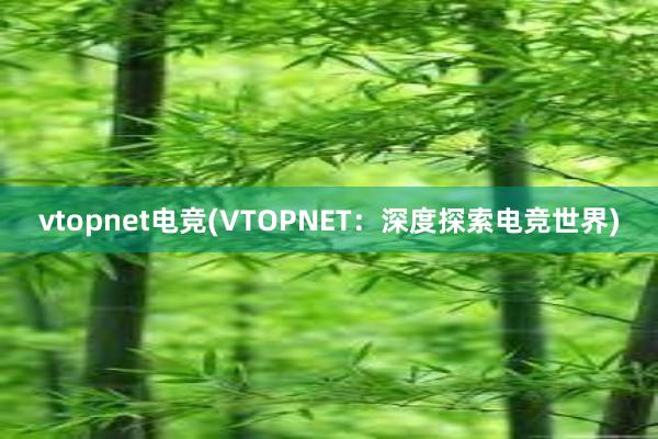 vtopnet电竞(VTOPNET：深度探索电竞世界)