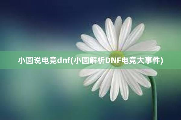 小圆说电竞dnf(小圆解析DNF电竞大事件)