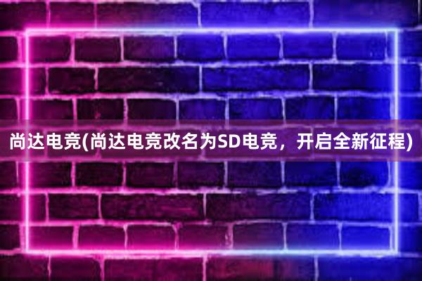 尚达电竞(尚达电竞改名为SD电竞，开启全新征程)