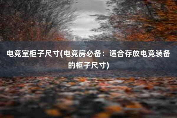 电竞室柜子尺寸(电竞房必备：适合存放电竞装备的柜子尺寸)