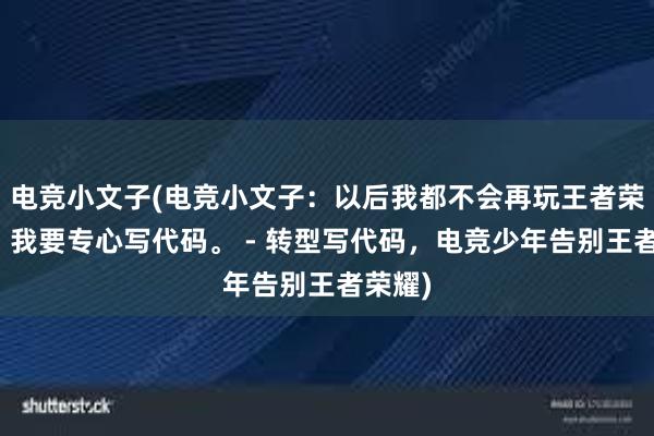 电竞小文子(电竞小文子：以后我都不会再玩王者荣耀了，我要专心写代码。 - 转型写代码，电竞少年告别王者荣耀)