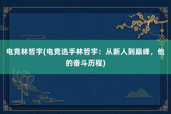 电竞林哲宇(电竞选手林哲宇：从新人到巅峰，他的奋斗历程)