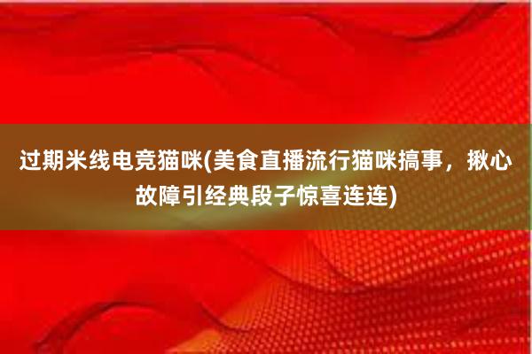 过期米线电竞猫咪(美食直播流行猫咪搞事，揪心故障引经典段子惊喜连连)