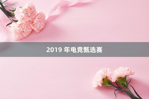 2019 年电竞甄选赛