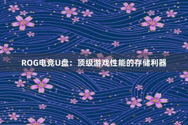 ROG电竞U盘：顶级游戏性能的存储利器