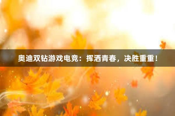 奥迪双钻游戏电竞：挥洒青春，决胜重重！