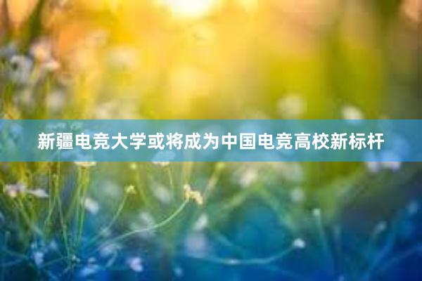 新疆电竞大学或将成为中国电竞高校新标杆