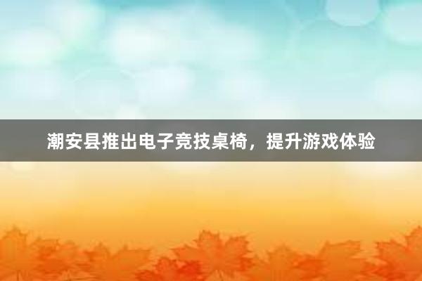 潮安县推出电子竞技桌椅，提升游戏体验