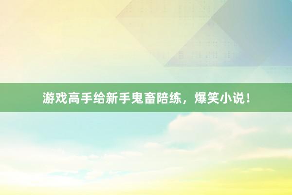 游戏高手给新手鬼畜陪练，爆笑小说！