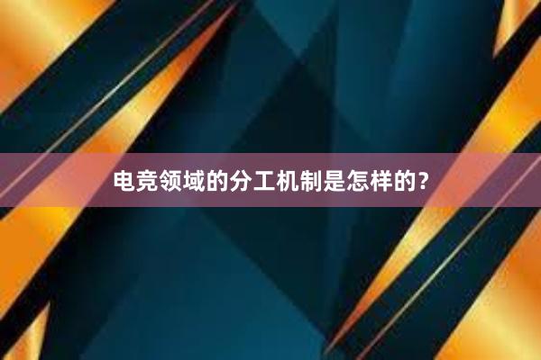 电竞领域的分工机制是怎样的？